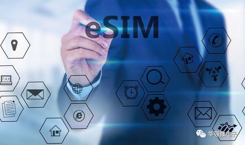 華強(qiáng)電子雜志1月2月合刊精彩搶鮮讀 網(wǎng)絡(luò)技術(shù)服務(wù)專題